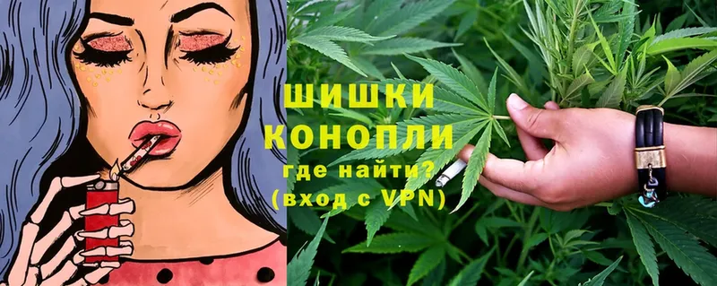 Канабис OG Kush  Боровск 